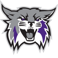 weberstatesports.com